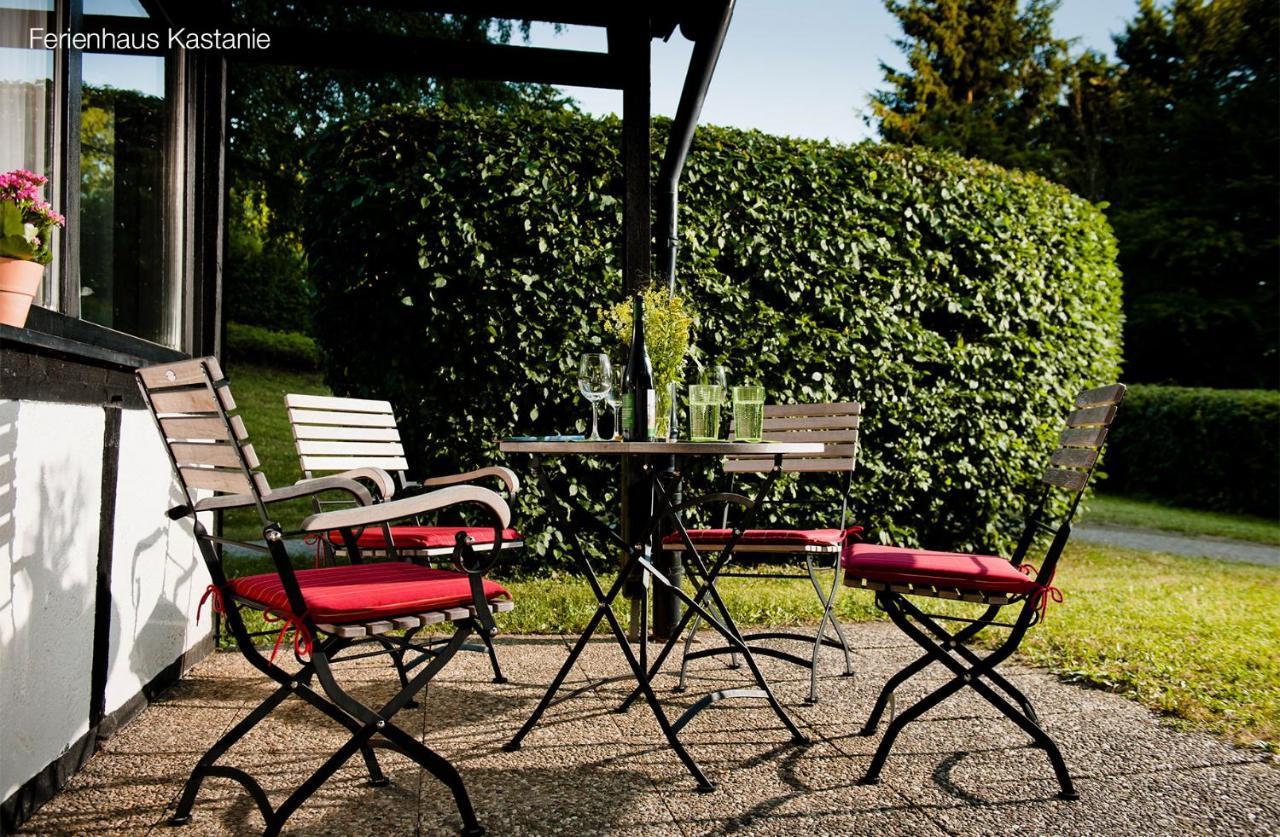 Grafenwald 4* Daun