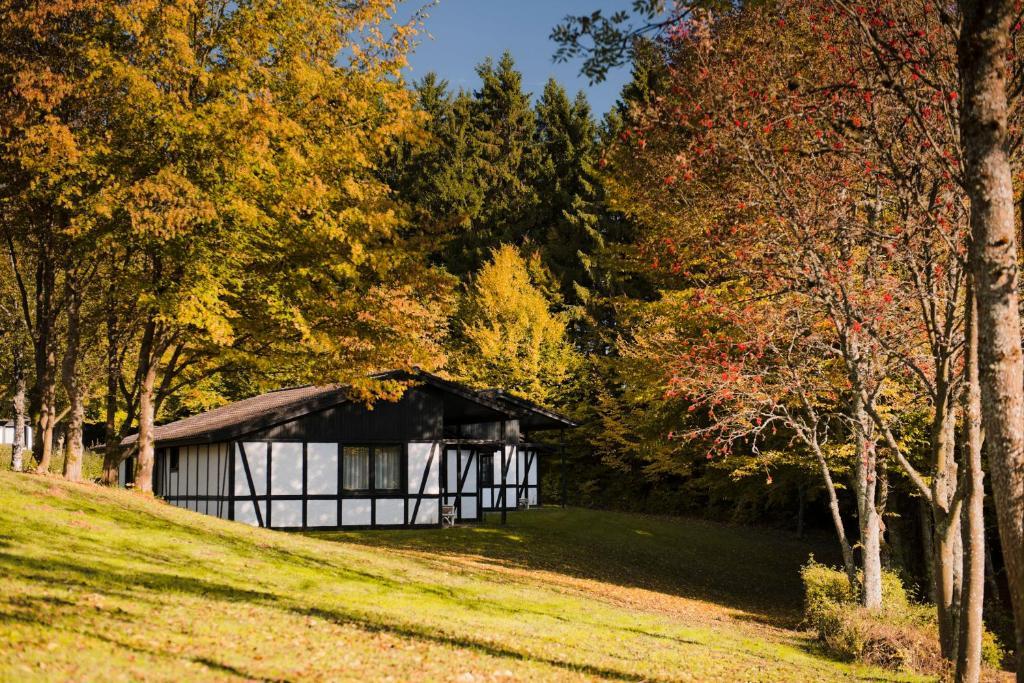 Hotel Sporthotel&resort Grafenwald - Vulkaneifel 4*